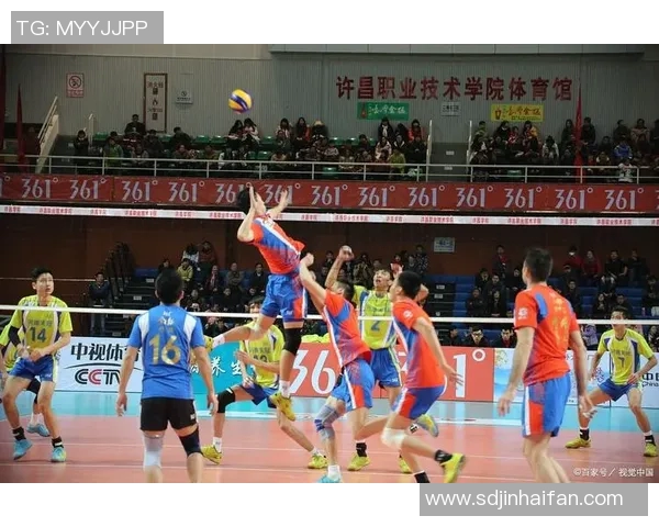 聚焦排球:武汉排球队如何通过速度提升竞技水平与团队协作