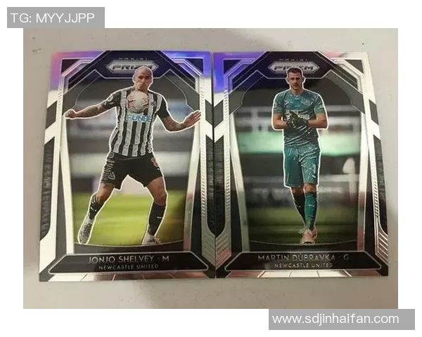 英超足球明星的妻子们:她们的生活与魅力揭秘