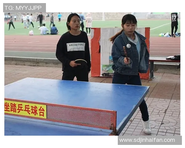 南京乒乓球队比赛经验分析与表现评估的深度研究与探讨